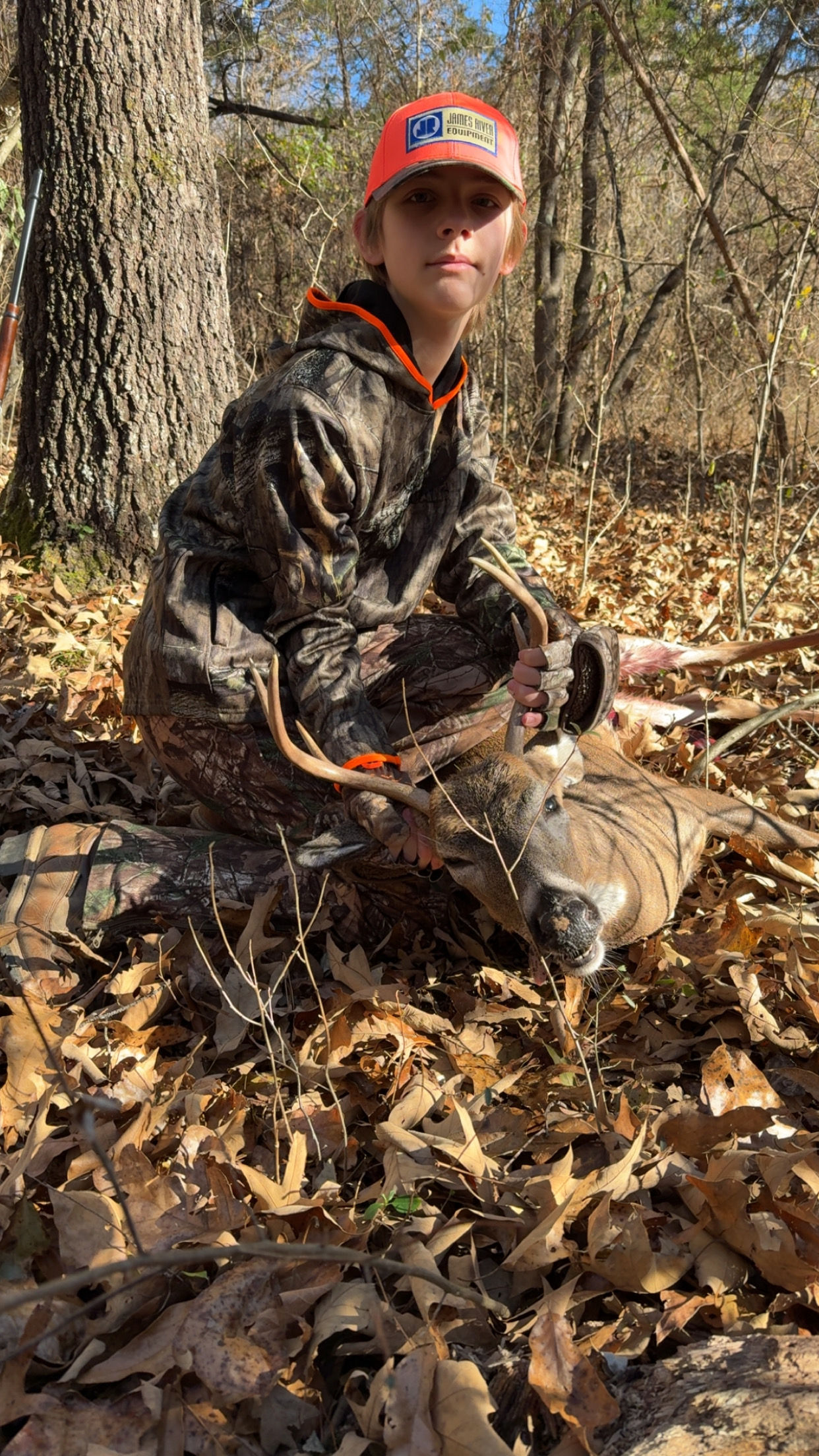 Deer