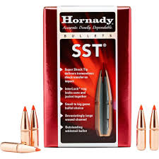 243_Rifle_Ammo